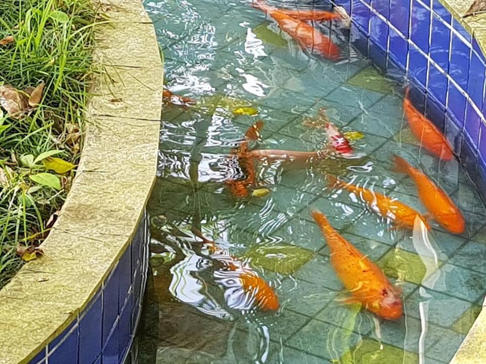 Pousada Morada das Ilhas Boiçucanga Exterior foto